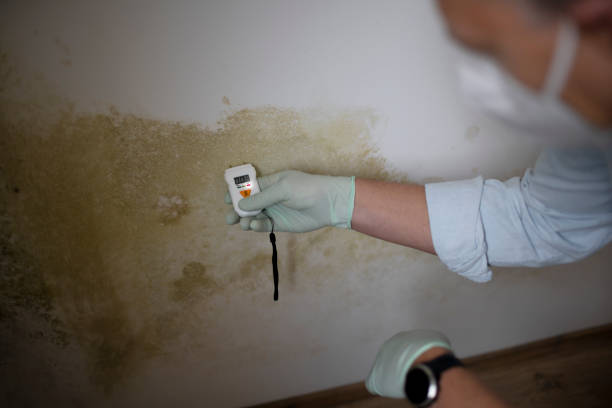 Crawl Space Mold Removal in Milwaukie, OR