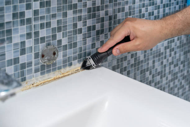 Best Commercial Mold Removal  in Milwaukie, OR