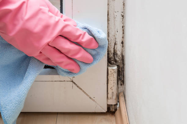 Best Office Mold Removal Services  in Milwaukie, OR